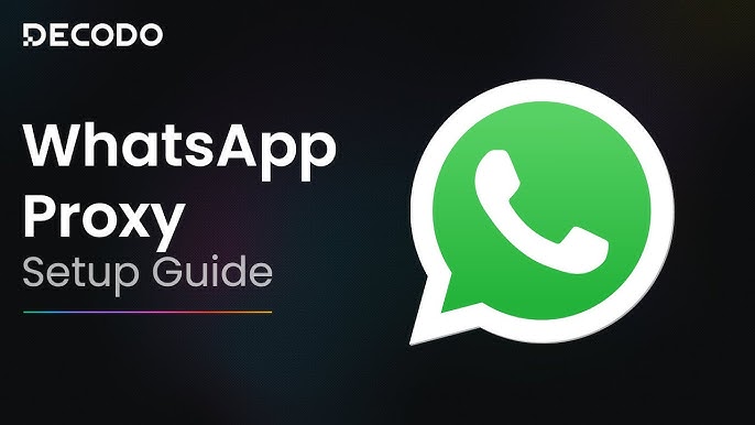 Why would you recommend WhatsApp Business for your organization?